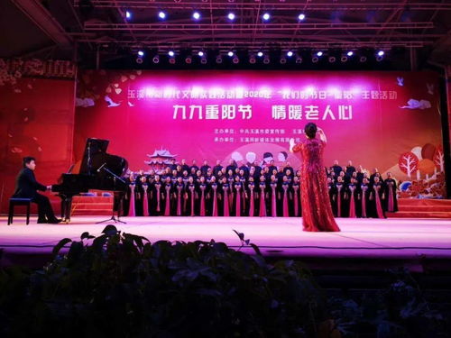 玉溪市文化館群苑合唱團(tuán)閃耀2020年‘我們的節(jié)日·重陽’文藝晚會(huì)暨文化藝術(shù)交流活動(dòng)